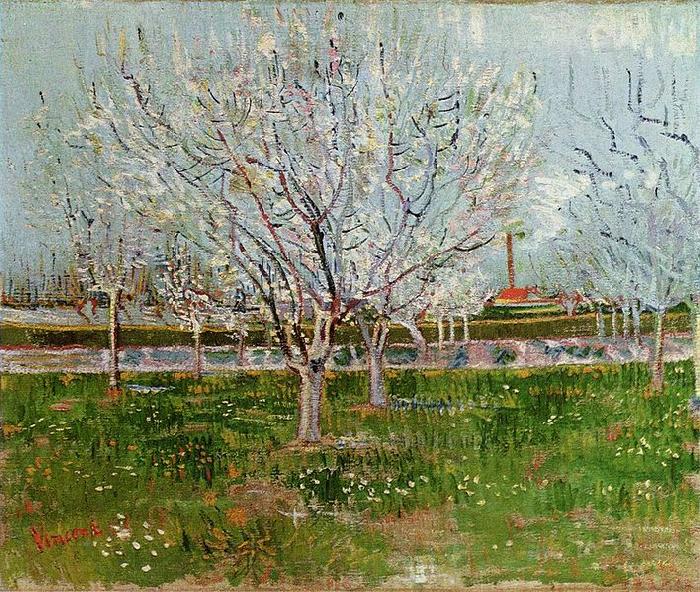 Vincent Van Gogh Bluhender Obstgarten Spain oil painting art